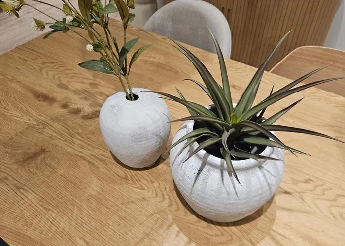 Downtown Gem Budapesta