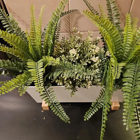 Hostel Downtown Gem *